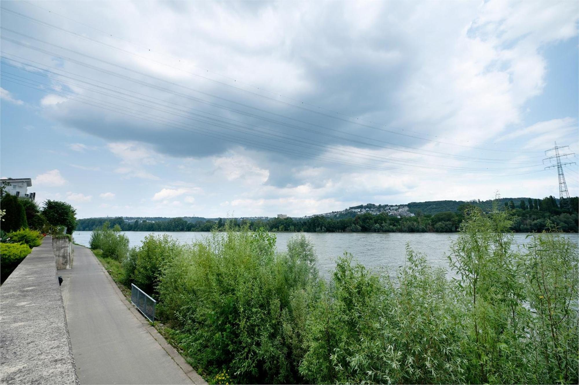 Rheinblicknow